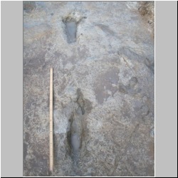 102_7527 (2013-08-19)m.JPG